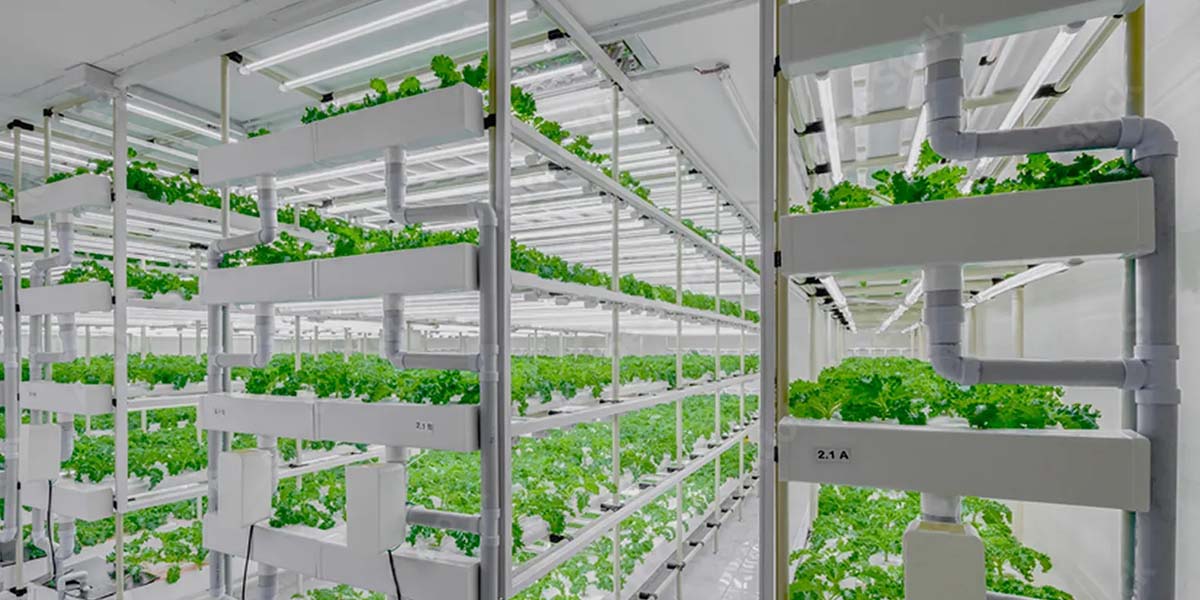 Astronauti come futuri agricoltori, in orbita grazie ad una serra dinamica made in Italy